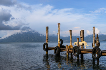 Hay varios perros callejeros sobre un embarcadero en el lago Atitlán.