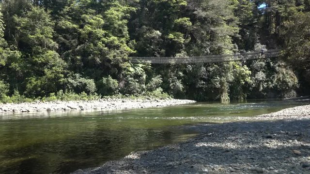 A Swing Bridge on a New Zealand walking trail in Kaitoke amongst native bush sliding from right to left