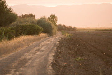 Fototapeta na wymiar empty dirt road in rural countryside farm agriculture.