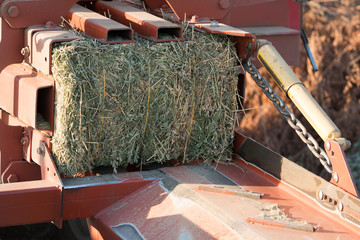 red hay alfalfa bailing tractor with bail finished.  - obrazy, fototapety, plakaty