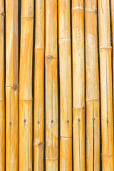 yellow bamboo fence background