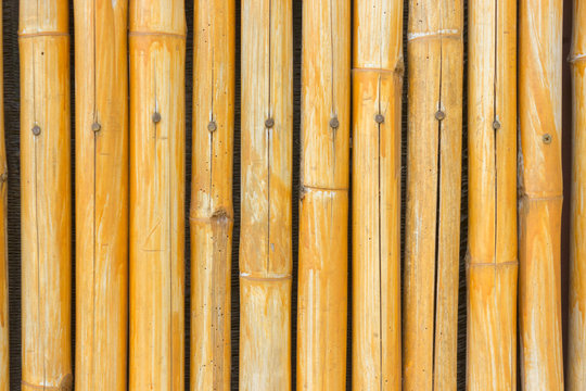 yellow bamboo fence background