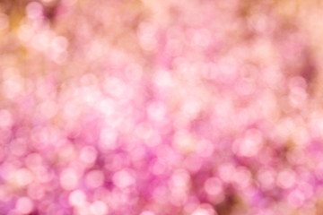 Pink bokeh background from nature
