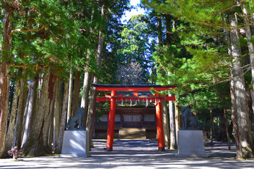 Fototapeta na wymiar Koyasan, Japan - November 20, 2019: Red torii with cedar trees from Danjo Garden Complex in Koyasan, Japan..Koyasan located in the Kansai region of Wakayama prefecture
