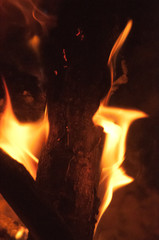 fire in the fireplace