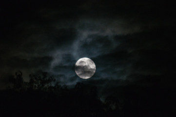 Naklejka na ściany i meble full moon in the night sky