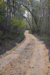 Fototapeta premium Wooded Dirt Road