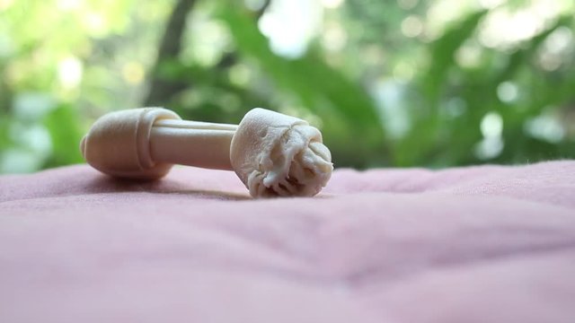 Dog bone, Ate Dog treats, Rawhide dog chews bitten on pink mattress in bokeh green garden, Close up and Macro shot, Selective focus, Snack food dog concept