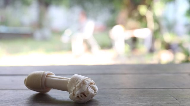 Dog bone, Ate Dog treats, Rawhide dog chews bitten on wooden table texture in bokeh green garden, Close up and Macro shot, Selective focus, Snack food dog concept