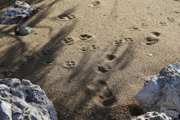 On a beach in Queensland Australia