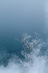 和琴半島の霧氷	