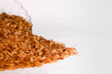 Close up Rice devzira Red with white background 