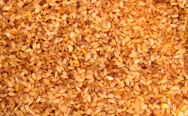 Close up Rice devzira Red with white background 