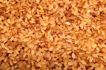 Close up Rice devzira Red with white background 