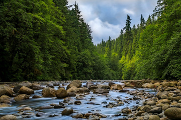 Pine trees reflecting in the crystal clear water of a lake on a cloudy day in Lynn Canyon Park forest, Vancouver, Canada
