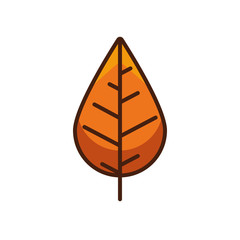 thanksgiving leaf plant autumn icon