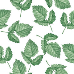 Pattern of raspberry leaves