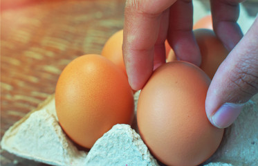 Group of fresh eggs in farm