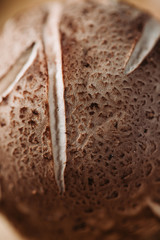 Macro photography of shiitake mushroom pileus. Creative food photography.