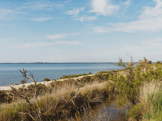 Paysage de Camargue. Etang de vaccarès