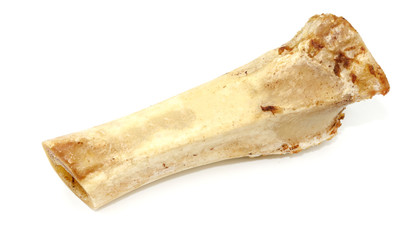 Animal bones isolated on white background. leftover food closeup