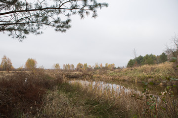 Autumn countryside landscape in fields and meadow. Lake