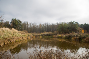 Autumn countryside landscape in fields and meadow. Lake