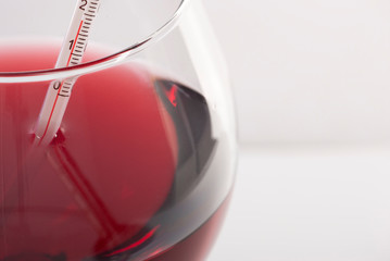 Measuring Red Wine Temperature with a Wine Thermometer