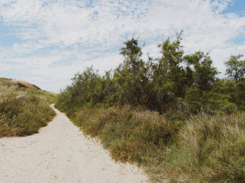 Sous le ciel de Camargue. Sentier th&eacute;matique entre roseli&egrave;res, manades, lagunes et digues