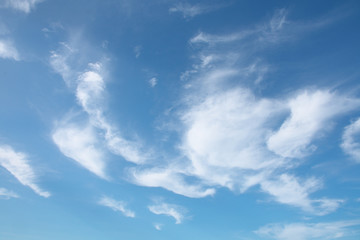 Obraz premium 青空と雲