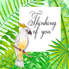 Thinking of you - card. frame of tropical leaves, birds. watercolor illustration