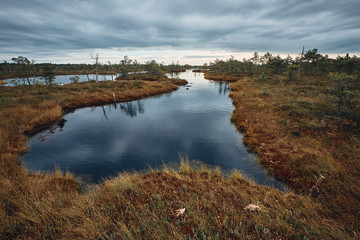 The Landscape Around The Great Bog Trail of Kemeri National Park, Latvia