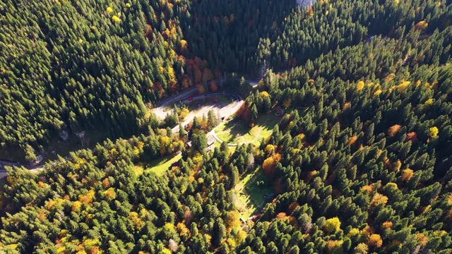 Sunny autumn view of Cheile Bicazului gorge in Transylvania, Romania