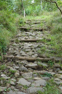 Oyama mountain trails (Japanese mountain)