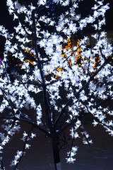 tree, Christmas, new year, garland, illumination