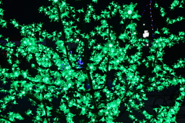 tree, Christmas, new year, garland, illumination