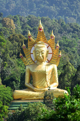Obraz premium Golden Giant Buddha - Wat Bang Riang, Wat Rat Upathamin, temple in Khao Lan mountains of Phang Nga Province, Thailand