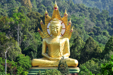 Golden Giant Buddha - Wat Bang Riang, Wat Rat Upathamin, temple in Khao Lan mountains of Phang Nga Province, Thailand