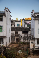 Chinese ancient village