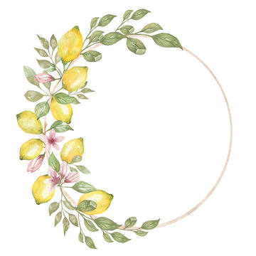 Hand drawn round frame of watercolor lemon. Watercolor illustration wreath of lemon and leaves. Can be used as a greeting card for background, birthday, mother's day,etc..