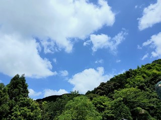 blue sky and clouds