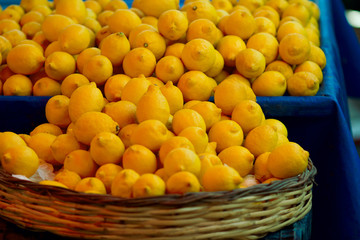 Lemons in the baskets on display at farmer's market