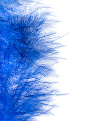Obraz premium blue feather on a white background