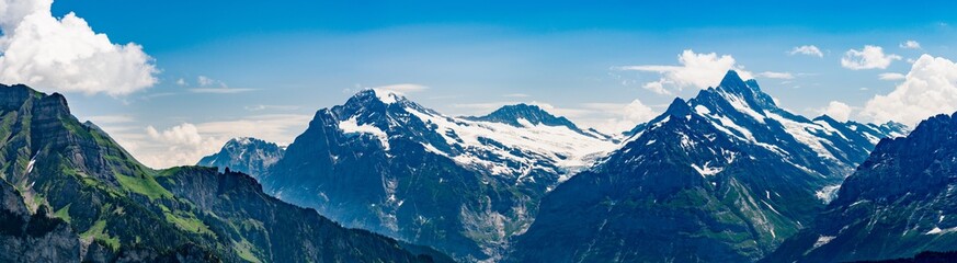 Fototapeta na wymiar Switzerland, Panoramic view on green Alps and Wetterhorn peak from Schynige Platte
