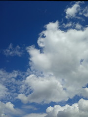 Fototapeta premium blue sky with clouds