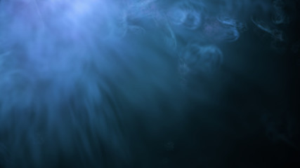 Fototapeta na wymiar Swirling smoke on a black background