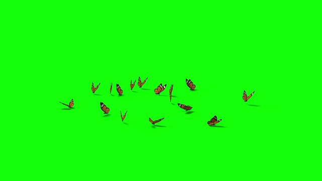 Butterflies flock rest on the ground. Isolated on green box background with shadows. 4k Ultra HD, ProRes 10Bit depth. Easter theme. Quiet, Relaxing concept. 3d render.