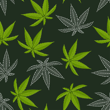 Seamless pattern with Cannabis leaves on dark background. Cartoon green leaves and white outline. Vector illustration of hemp leaf in flat style.