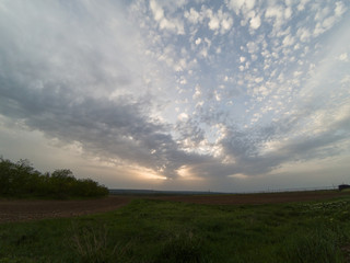 Obraz premium sunset over field