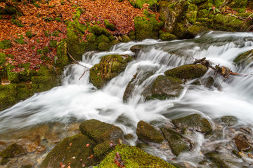 Riachuelo, rocas cubiertas de musgo y hojas secas de haya. Arroyo Valdecuevas, Hayedo de Cabornera...